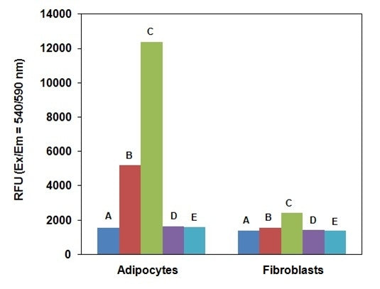 Screen Quest™ Fluorimetric Glucose Uptake Assay Kit - AAT Bioquest
