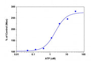 Screen Quest™ Membrane Potential Assay Kit *Orange Fluorescence* - AAT Bioquest