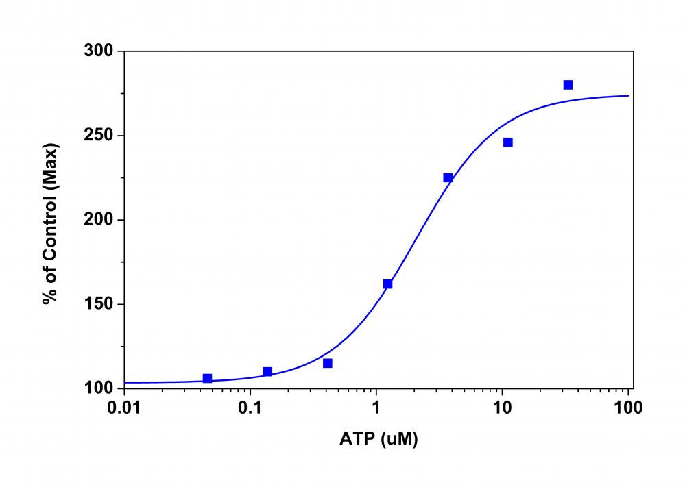 Screen Quest™ Membrane Potential Assay Kit *Orange Fluorescence* - AAT Bioquest