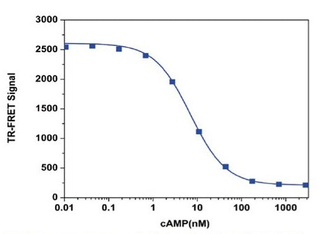 Screen Quest™ TR-FRET No Wash cAMP Assay Kit - AAT Bioquest