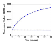 Signal Guard™ HRP reaction stopping reagent - AAT Bioquest