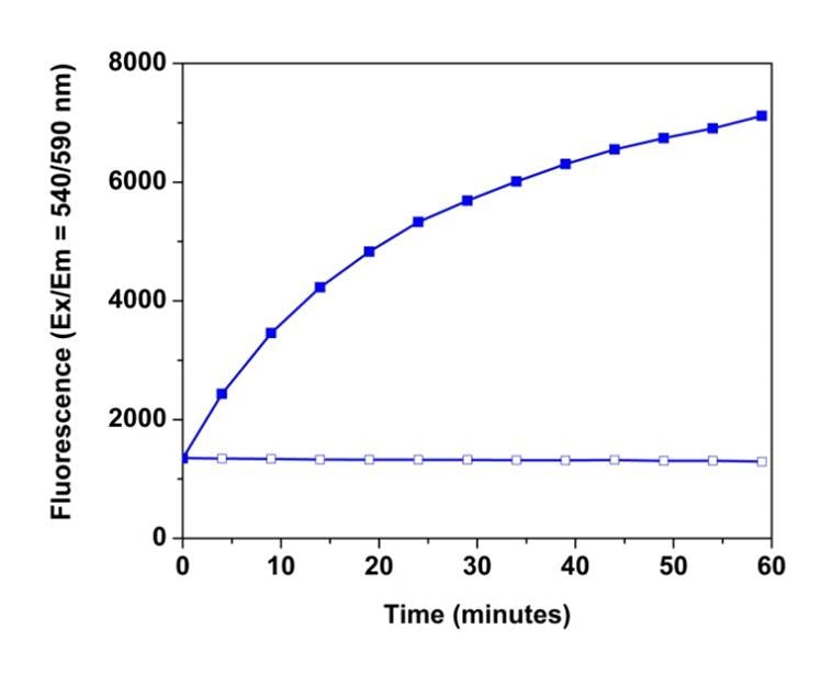 Signal Guard™ HRP reaction stopping reagent - AAT Bioquest