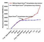 Signal Guard™ phosphatase reaction stopping solution - AAT Bioquest