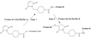 SMCC Plus™ *Enhanced water solubility, crosslinking efficiency and stability* - AAT Bioquest