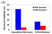 StrandBrite™ Green Fluorimetric RNA Quantitation Kit *High Selectivity* - AAT Bioquest
