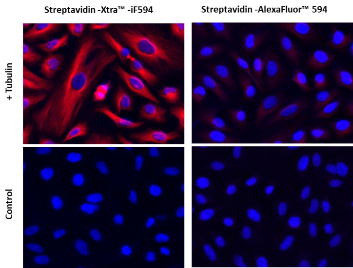 Streptavidin-Xtra™ IF594 - AAT Bioquest