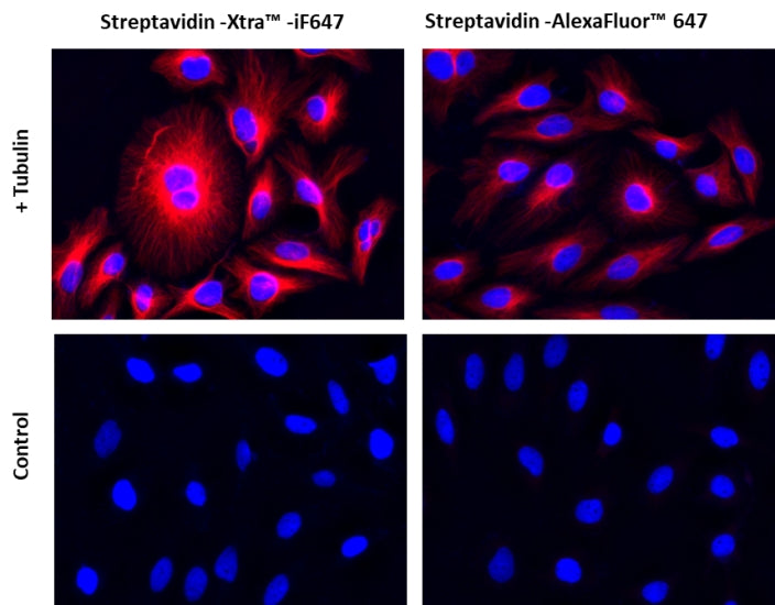 Streptavidin-Xtra™ IF647 - AAT Bioquest