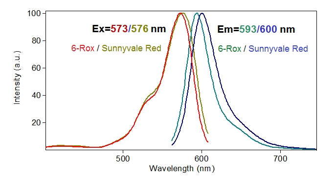 Sunnyvale Red™ SE *Superior 6-ROX Replacement* - AAT Bioquest