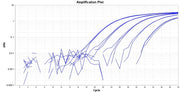 TAQuest™ FAST qPCR Master Mix for TaqMan Probes *Low ROX* - AAT Bioquest
