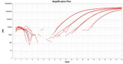 TAQuest™ FAST qPCR Master Mix for TaqMan Probes *No ROX* - AAT Bioquest
