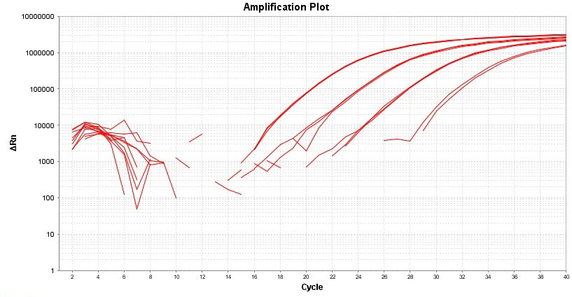 TAQuest™ FAST qPCR Master Mix for TaqMan Probes *No ROX* - AAT Bioquest