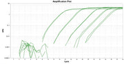 TAQuest™ FAST qPCR Master Mix with Helixyte™ Green *Low ROX* - AAT Bioquest