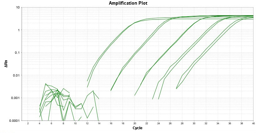 TAQuest™ FAST qPCR Master Mix with Helixyte™ Green *Low ROX* - AAT Bioquest