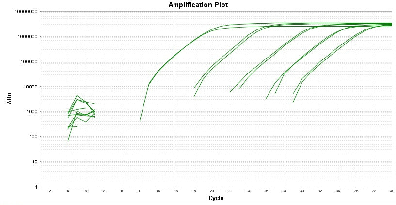 TAQuest™ FAST qPCR Master Mix with Helixyte™ Green *No ROX* - AAT Bioquest