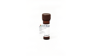 TAQuest™ qPCR Master Mix for TaqMan Probes *High ROX* - AAT Bioquest