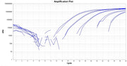 TAQuest™ qPCR Master Mix for TaqMan Probes *No ROX* - AAT Bioquest