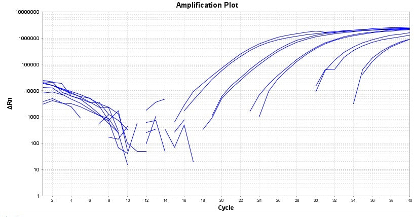 TAQuest™ qPCR Master Mix for TaqMan Probes *No ROX* - AAT Bioquest