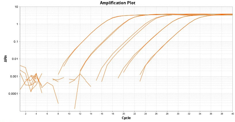 TAQuest™ qPCR Master Mix with Helixyte™ Green *Low ROX* - AAT Bioquest