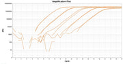 TAQuest™ qPCR Master Mix with Helixyte™ Green *No ROX* - AAT Bioquest
