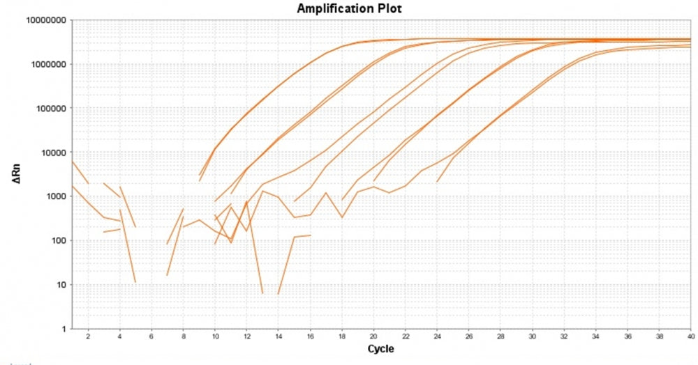 TAQuest™ qPCR Master Mix with Helixyte™ Green *No ROX* - AAT Bioquest
