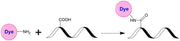 Tide Fluor™ 1 amine [TF1 amine] *Superior replacement for EDANS* - AAT Bioquest