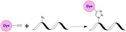 Tide Fluor™ 4 alkyne [TF4 alkyne] - AAT Bioquest