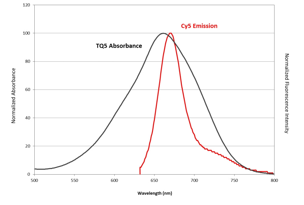 Tide Quencher™ 5 CPG [TQ5 CPG] *1000 Å* - AAT Bioquest