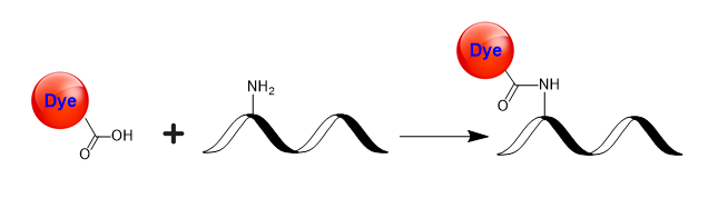 Tide Quencher™ 5HWS Acid [TQ5HWS Acid] - AAT Bioquest