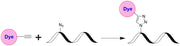 Tide Quencher™ 5WS alkyne [TQ5WS alkyne] - AAT Bioquest