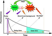 trFluor™ Eu goat anti-mouse IgG (H+L) *Cross Adsorbed* - AAT Bioquest