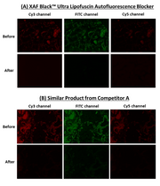 XAF Black™ Ultra Lipofuscin Autofluorescence Blocker - AAT Bioquest