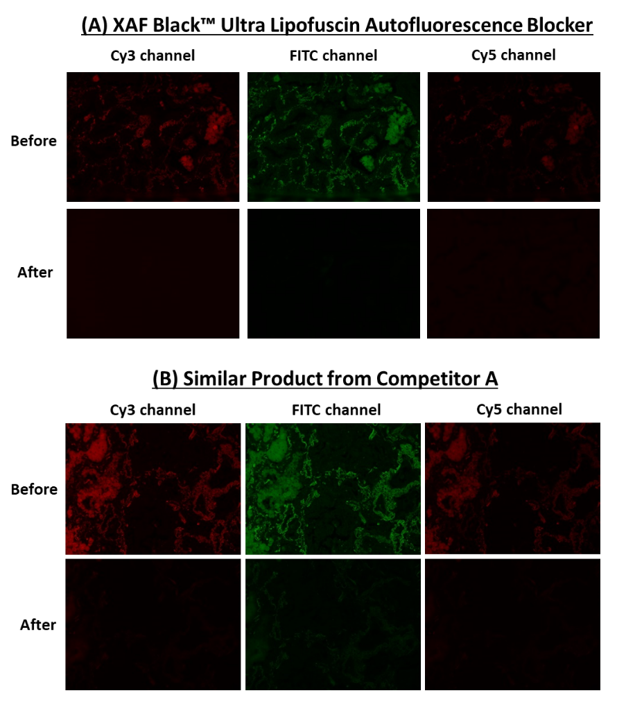 XAF Black™ Ultra Lipofuscin Autofluorescence Blocker - AAT Bioquest