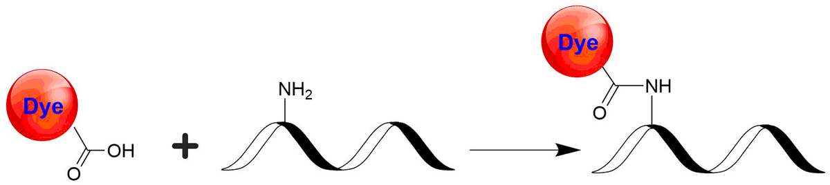 XFD647 acid - AAT Bioquest