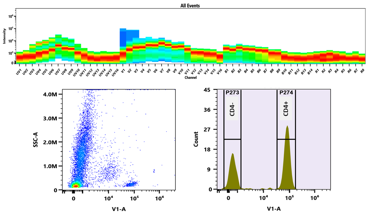 xtraFluor™ Violet 420 Labeling Dye - AAT Bioquest