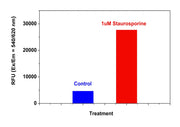 Z-LEHD-ProRed™ 620 - AAT Bioquest