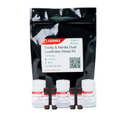 Firefly & Renilla Luciferase Single Tube Assay Kit