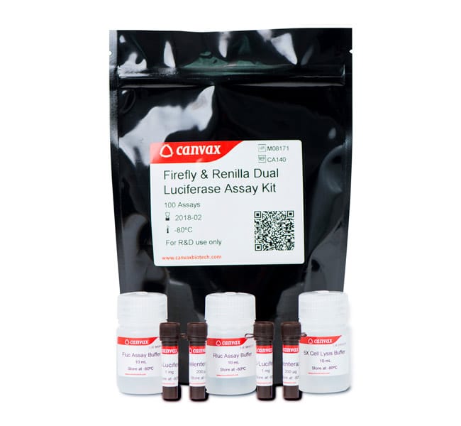 Firefly & Renilla Luciferase Single Tube Assay Kit