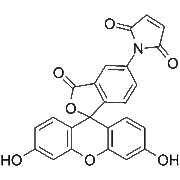 Fluorescein-5-maleimide