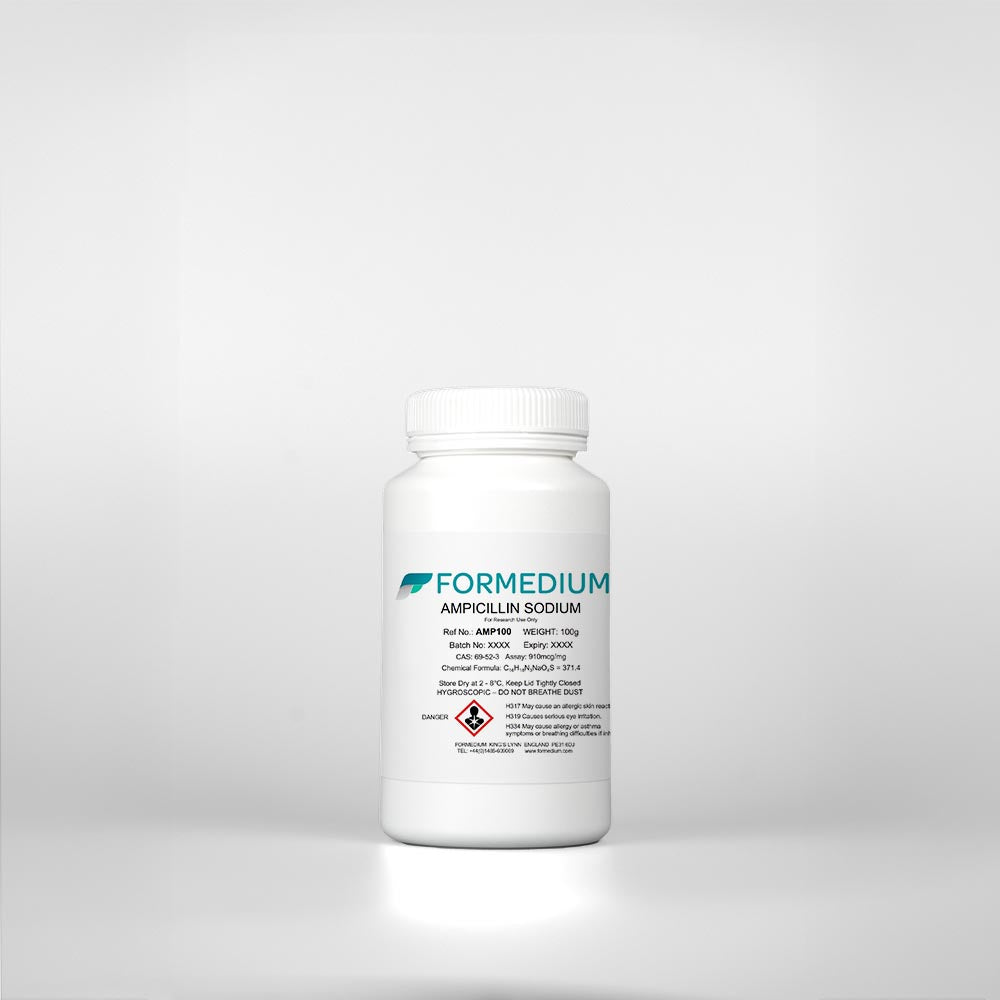 Ampicillin Sodium - 2