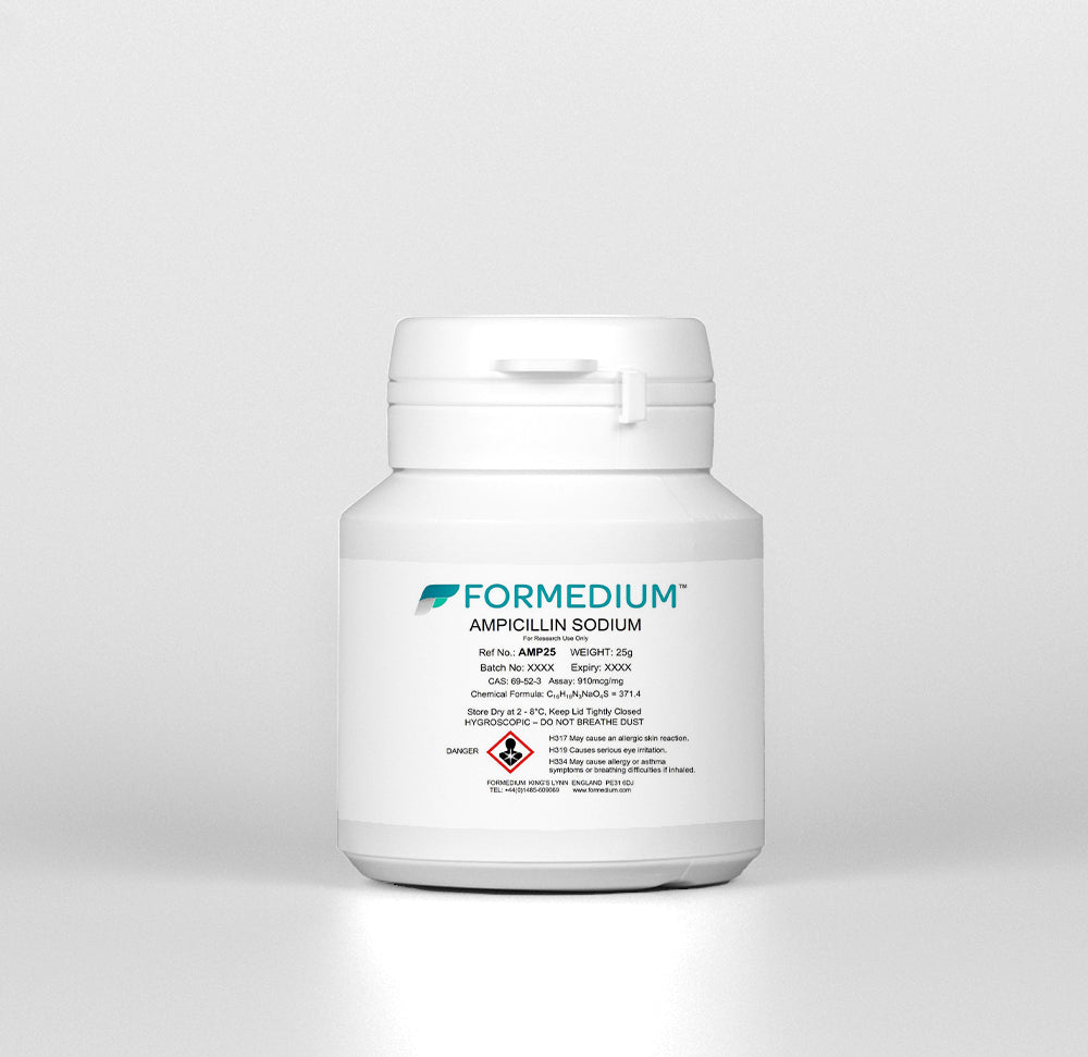 Ampicillin Sodium - 4