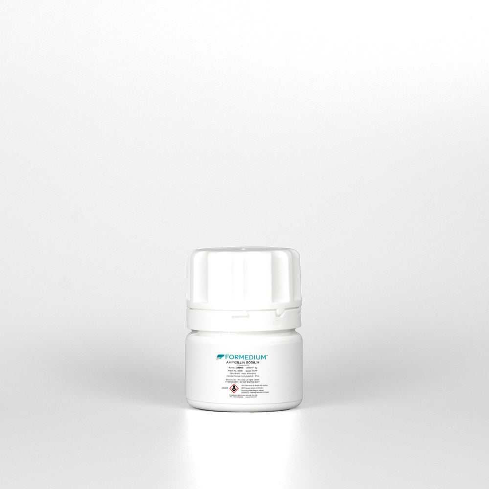 Ampicillin Sodium - 6