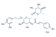 Forsythoside A chemical structure