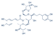 Forsythoside B chemical structure