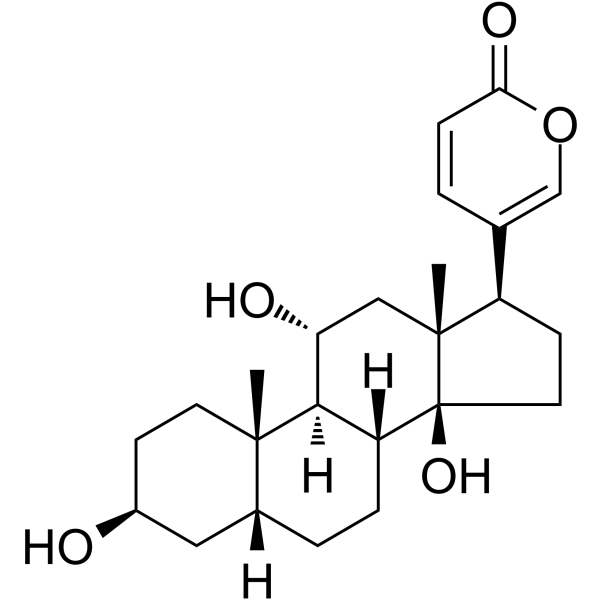 Gamabufotalin