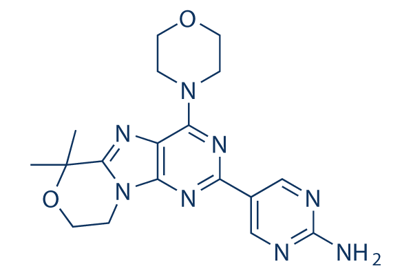 Paxalisib (GDC-0084) chemical structure