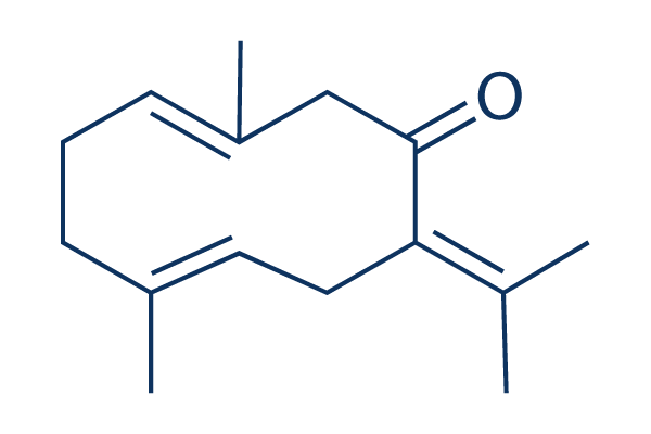Germacrone chemical structure