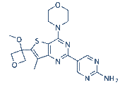 GNE-317 chemical structure