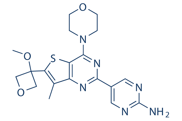 GNE-317 chemical structure