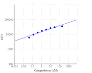 Cell Meter™ Phosphatidylserine Apoptosis Assay Kit *Green Fluorescence Optimized for Microplate Readers* - AAT Bioquest