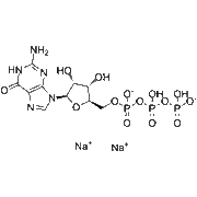 Guanosine-5'-triphosphate disodium salt